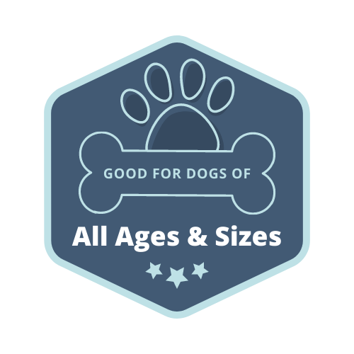 Loyal Leash suitable for all dogs
